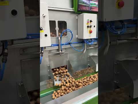 Kadıoğlu Katlı Ceviz Kurutma Makinesi Çalışması