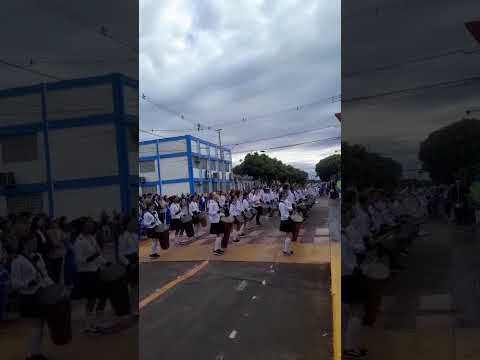 fanfarra Pato Bragado  Pr 2026