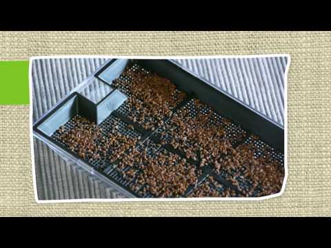 Predstavitev seta za gojenje (nem)