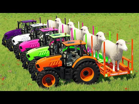 TRANSPORTING SHEEPS WITH LAMBORGHINI TRACTORS! Farming Simulator 22