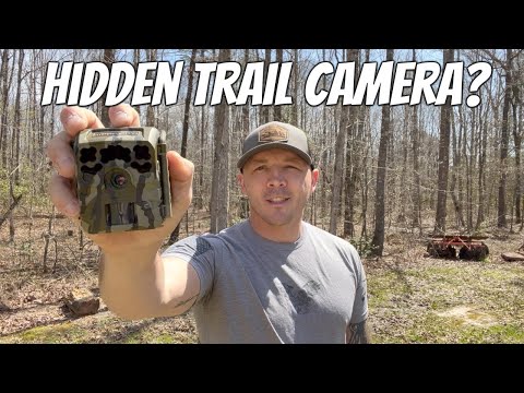 Trail Camera Small Enough to Hide! Moultrie Micro 42 Trail Camera [Review]