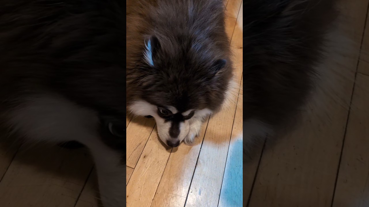 One of the calm moments.