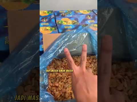Video Kurma Asyraf