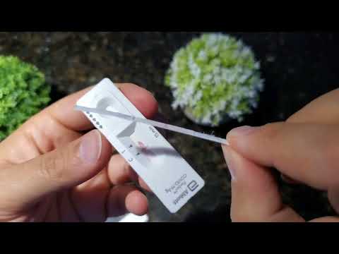 Lateral flow tests, What's inside an Antigen Rapid Test kit?