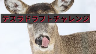 #1 クラロワの進化テスラドラフトバトルやってみた