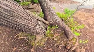 What it's like to... walk around Blackrocks Presque Isle Park