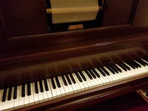 MY PET on Welte-Mignon Player Piano. 1928 Roaring 20s Music JOHNNY JOHNSON plays!