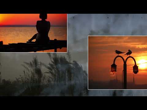 Ta đứng xa đời Sheet - Thanh Hà