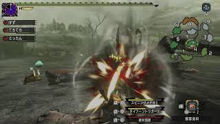 モンスターハンターXX　村クエ☆2～
