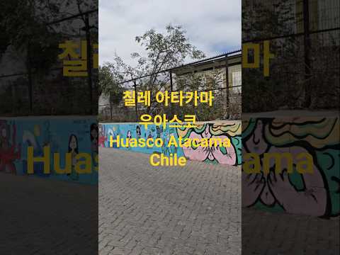 칠레 아타카마 우아스코 Huasco Atacama Chile