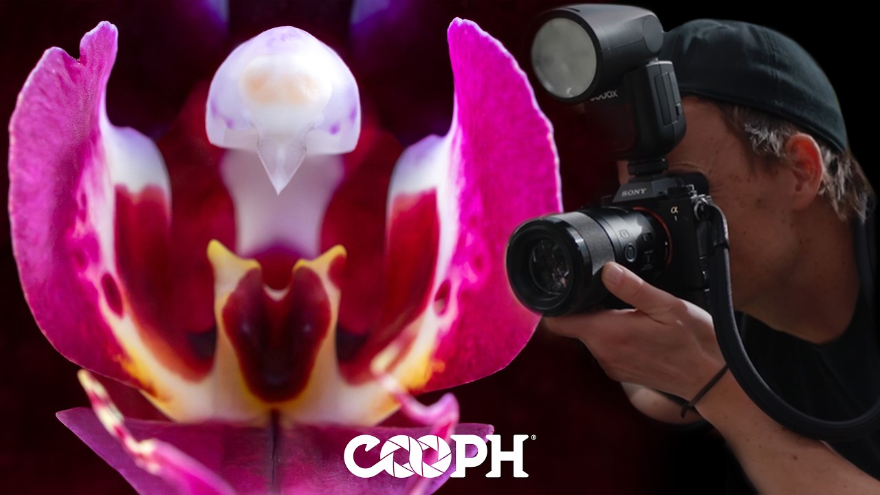Orchid Photography