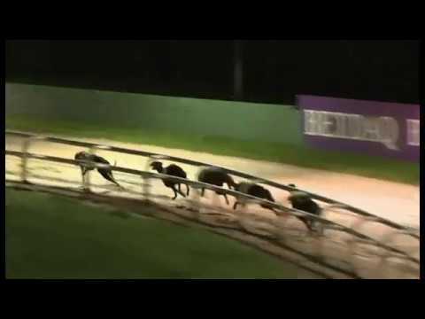 Avastorm -  SIS Yorkshire  St Leger 2nd Semi-Final