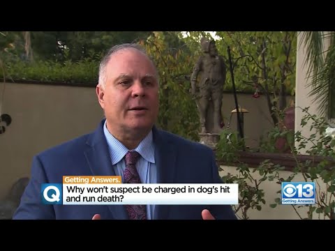 Attorney Mark Reichel explains California property and animal laws