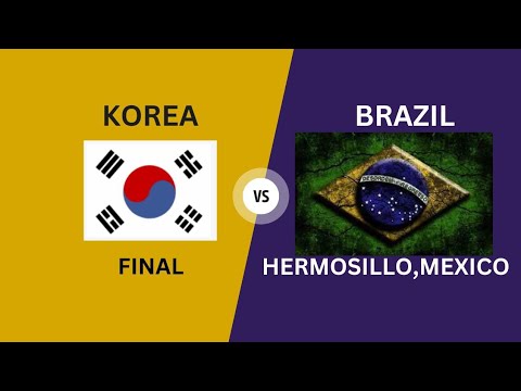 Lee woo seok v Marcus D'almeida _ gold final match recurve