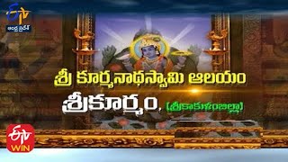Temple video