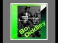 Bo Diddley - You Can't Judge a Book by It's ...