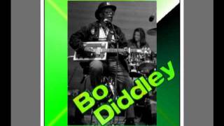 Bo Diddley - You Can&#39;t Judge a Book by It&#39;s Cover.wmv