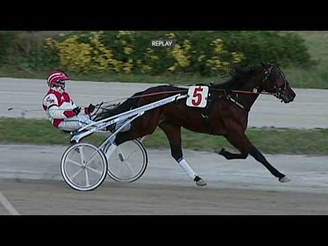 Aversa trotto 8 Gennaio 2020 - 3° Corsa