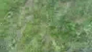 Katie singing the best song ever