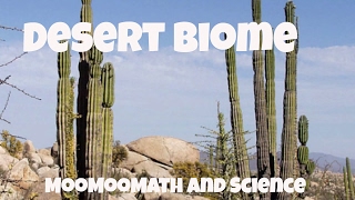 Desert Biome Facts