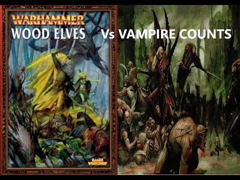 Warhammer Fantasy 6th Edition Battle Report - Wood Elves Vs Vampire Counts 1250 Points #59