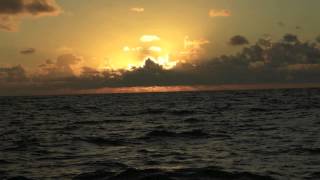 Vic Maui 2012 - Return Delivery