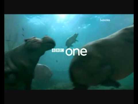 BBC One Eastenders Symbol