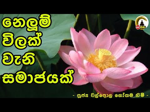 Walpola Gothama TherWalpola Gothama Thero - සිත් නෙත් අසපුව ​| 7.00PM BANA ධර්ම දක්ෂිණා 2021/03/06