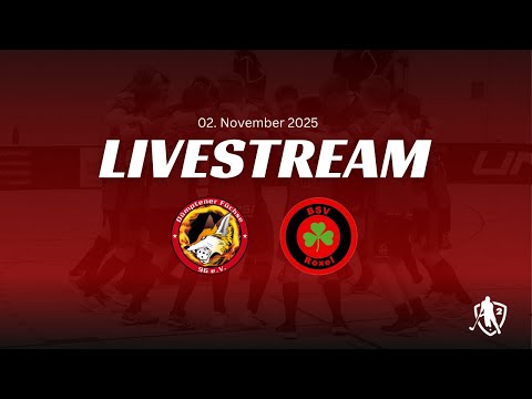 2.FBL Herren Dümptener Füchse vs BSV Roxel 02.11.2025