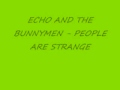 ECHO AND THE BUNNYMEN - PEOPLE ARE STRANGE - WillDrache ECHO AND THE BUNNYMEN - PEOPLE ARE STRANGE