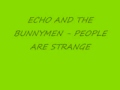 ECHO AND THE BUNNYMEN - PEOPLE ARE STRANGE