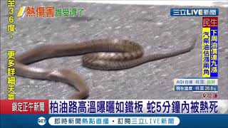 Re: [問卦] 明天幾萬人算輸？？