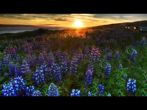 Александр Скляров (live)