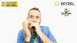 Video thumbnail for Boucing Blues Rock - Harmonica Seydel 1847 classic & Black Bulley by Livio CAREDDU by Livio Careddu