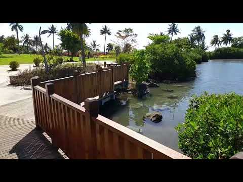 Tautua mai Samoa - Tour with Tasesa Lam Sam - Part 2