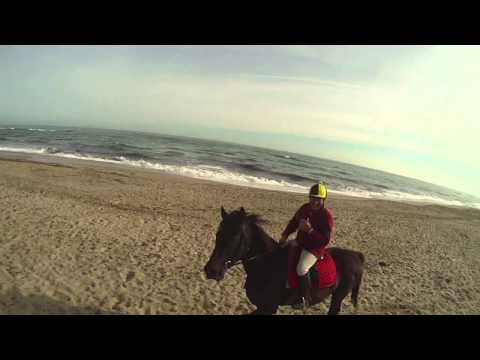 Super galoppo in spiaggia!!!