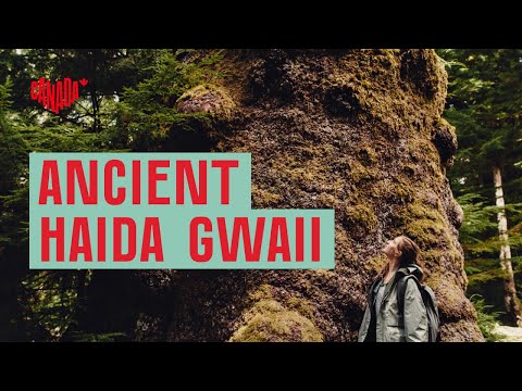 Wander Haida Gwaii Ancient Forests on the West Coast | Explore Canada