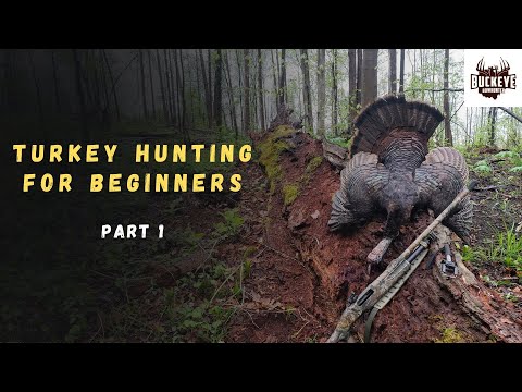 Intro to Turkey Hunting - State of Ohio's Turkey Population