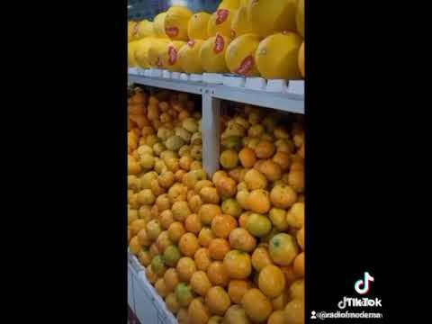 Vídeo