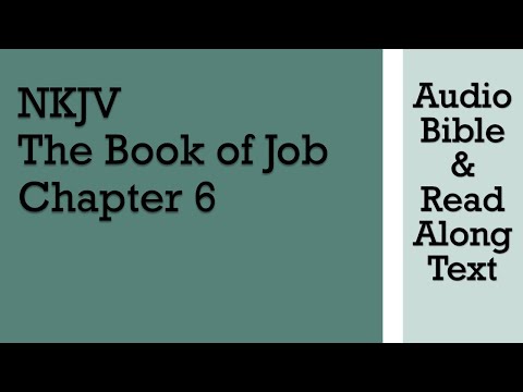 Job 6 - NKJV - (Audio Bible & Text)