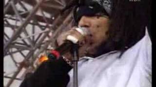 hed pe - Waiting to Die