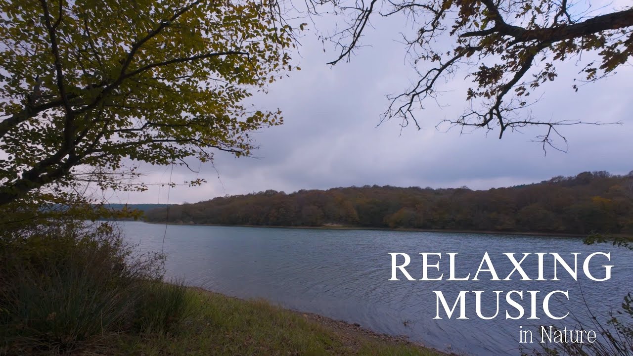 Relaxing Lake and Meditation Music | Nature Sounds