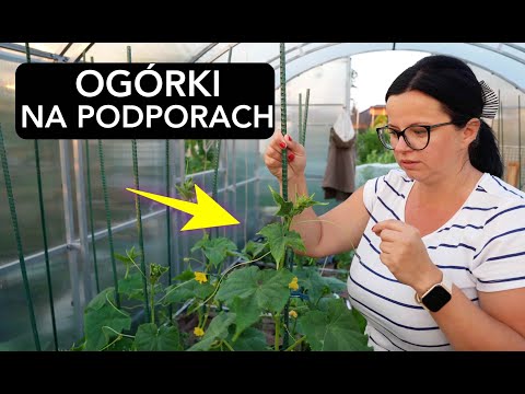 , title : 'Ogórki na podporach. Jak uprawiać ogórki i inne warzywa na podporach. Ogród z Kasia in'