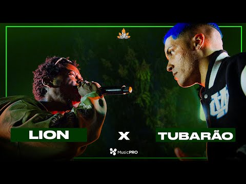 TUBARÃO X LION | GRANDE FINAL | 381ª BATALHA DA ALDEIA