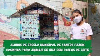 Alunos de escola municipal de Santos fazem casinhas para animais de rua com caixas de leite