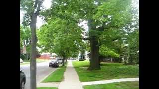 preview picture of video 'Kenmore NY Apartments Ralston Elmwood Apartments Exterior Tour'