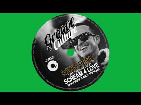 David Penn Feat. Sheylah Cuffy "Scream 4 Love" (Micky More & Andy Tee Remix)