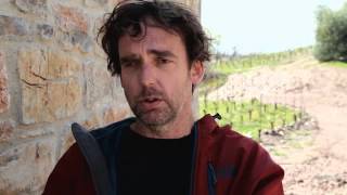 preview picture of video 'Opinions on Natural Wine: Sean O'Callaghan of Riecine'