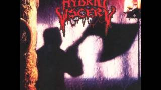 Hybrid Viscery - It's Time For A Beer