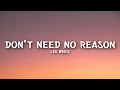Lee Brice - Don't Need No Reason (Lyrics)